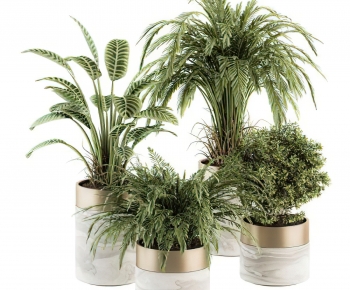 Modern Potted Green Plant-ID:528933055
