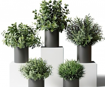 Modern Potted Green Plant-ID:806569108