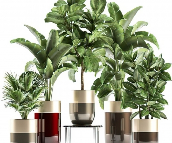 Modern Potted Green Plant-ID:232865103