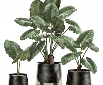 Modern Potted Green Plant-ID:350963128