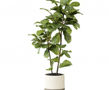Modern Potted Green Plant-ID:154061089