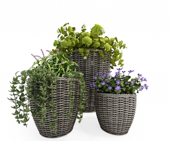 Modern Potted Green Plant-ID:944525965