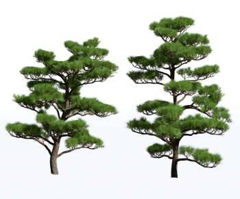 现代景观松树-ID:705303913