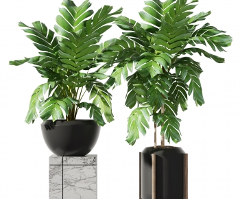 Modern Potted Green Plant-ID:890484097