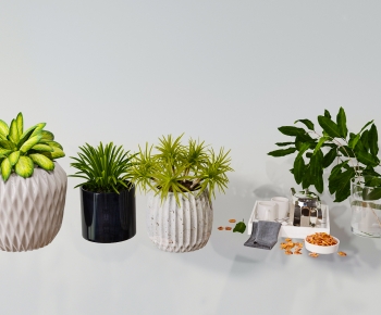 Nordic Style Potted Green Plant-ID:320898063