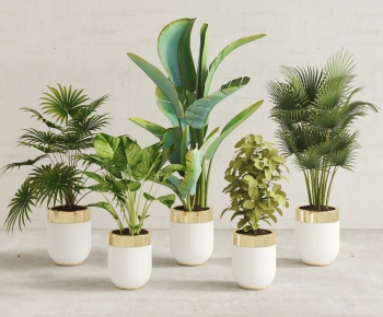 Modern Potted Green Plant-ID:528065924