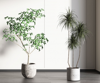 Modern Potted Green Plant-ID:988223082