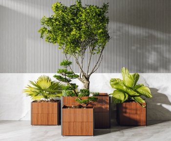Modern Potted Green Plant-ID:763751984
