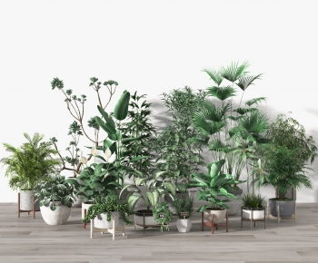 Modern Potted Green Plant-ID:706192025