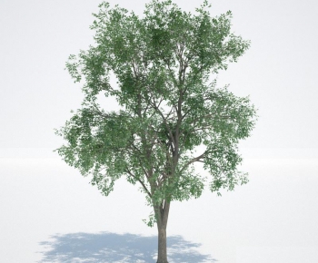 Modern Tree-ID:861816882