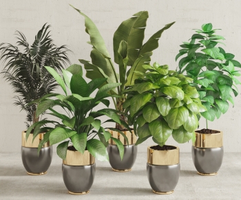Modern Potted Green Plant-ID:123186113
