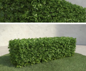 Modern Shrubbery-ID:554148911