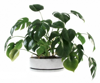 Modern Potted Green Plant-ID:909061919
