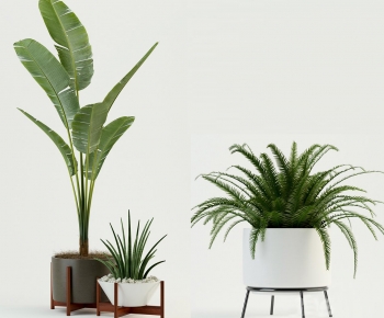 Modern Potted Green Plant-ID:956945906