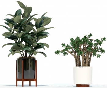 Modern Potted Green Plant-ID:115092047