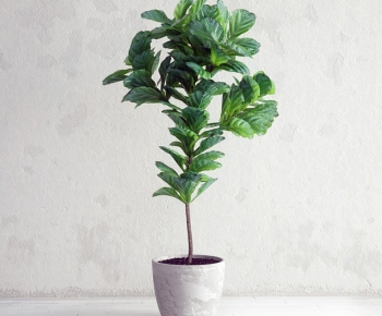 Modern Potted Green Plant-ID:197936062