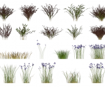 Modern Flowers And Grass-ID:215284111