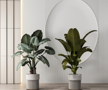 Modern Potted Green Plant-ID:742357026