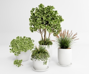 Modern Potted Green Plant-ID:146718989