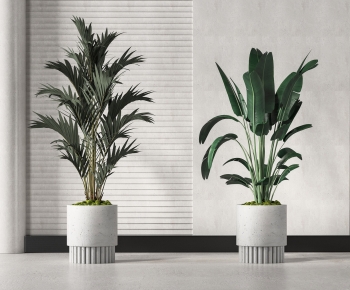 Modern Potted Green Plant-ID:811023955