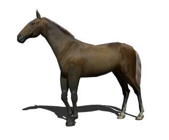 Modern Animal Horse-ID:424900057