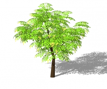Modern Tree-ID:355086095