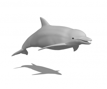 现代海豚-ID:671437032