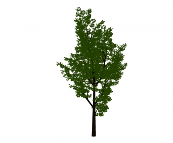 Modern Tree-ID:619390961