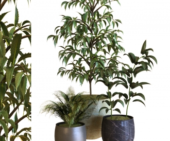 Nordic Style Potted Green Plant-ID:860300064