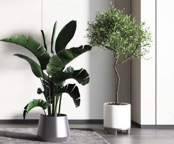 Modern Potted Green Plant-ID:369271994