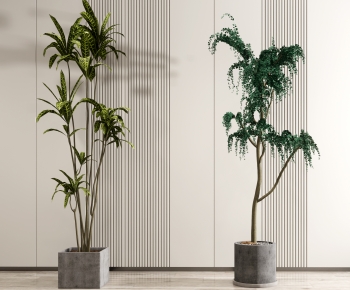 Modern Potted Green Plant-ID:705019006