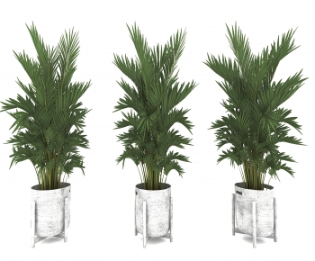 Modern Potted Green Plant-ID:474450115