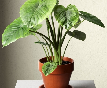 Modern Potted Green Plant-ID:601495031