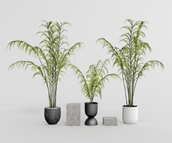 Modern Potted Green Plant-ID:913944967