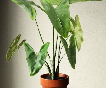 Modern Potted Green Plant-ID:102075102