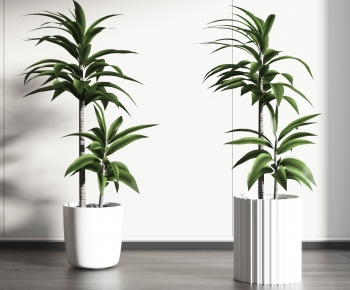 Modern Potted Green Plant-ID:628887894