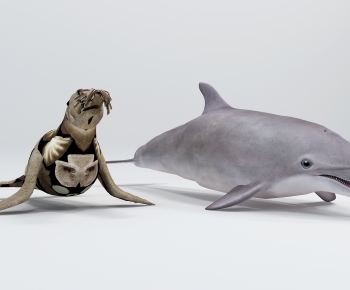 现代动物海豹 海豚-ID:234858042