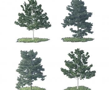 Modern Tree-ID:465869906
