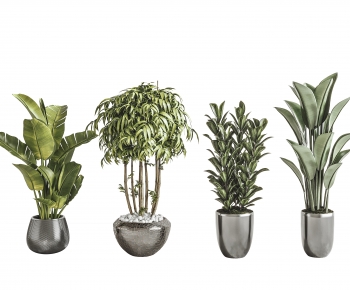 Modern Potted Green Plant-ID:377531116