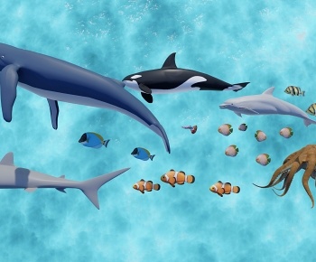 现代海洋生物 水生动物 鲸鱼 鱼-ID:1300981