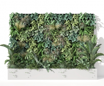 Modern Plant Wall-ID:879081962