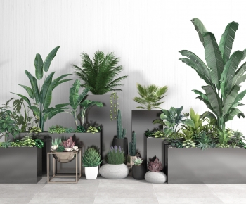 Modern Potted Green Plant-ID:916621926