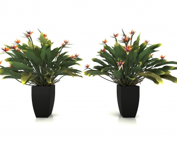 Modern Potted Green Plant-ID:821116923