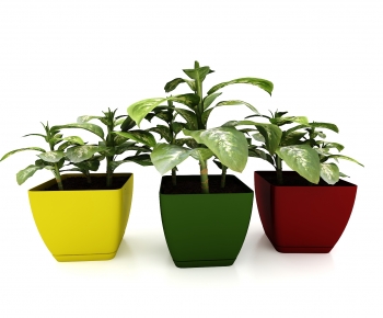 Modern Potted Green Plant-ID:559869058