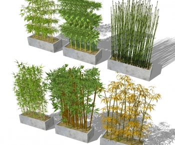 中式竹子盆栽盆景 植物灌木-ID:988470088