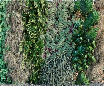 现代植物墙-ID:201956032