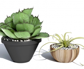 Modern Potted Green Plant-ID:243729118