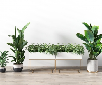 Modern Potted Green Plant-ID:200078017