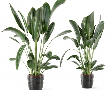 Modern Potted Green Plant-ID:151978972