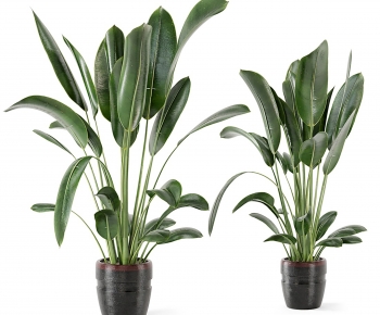 Modern Potted Green Plant-ID:652755021